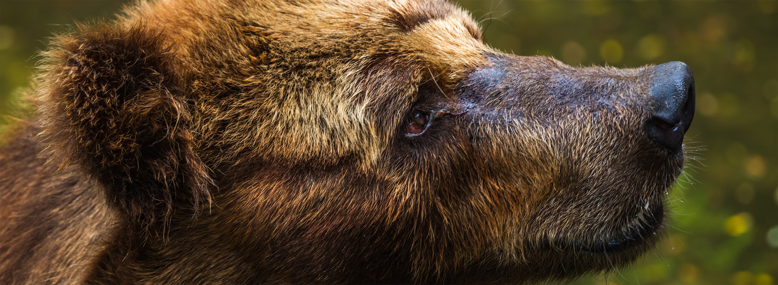 --